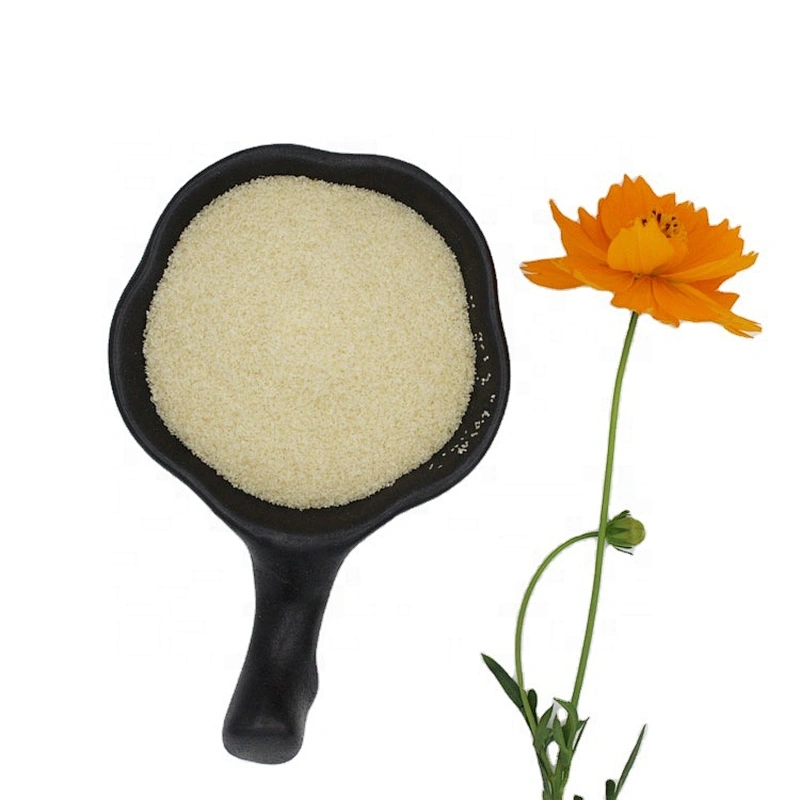 factory food grade halal beef gelatin powder food grade suppliers high-quality powder gelatin with best price